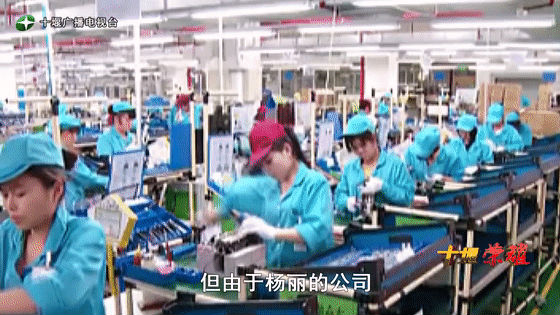 創(chuàng)業(yè)是一條無比艱辛的路，創(chuàng)新更是無限風(fēng)光在險峰。在男性為主導(dǎo)的商海里，女性創(chuàng)業(yè)創(chuàng)新需要鼓足十萬分的勇氣和力量，是挑戰(zhàn)未來成功的小概率事件。而十堰姑娘楊麗便是這小概率事件中的一個傳奇，也是女性創(chuàng)業(yè)創(chuàng)新的榜樣。今天就來認(rèn)識這位傳奇女性-興千田集團(tuán)楊麗。