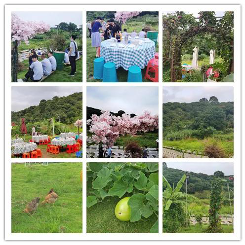 2020年興千田集團(tuán)迎中秋、慶國(guó)慶聚餐活動(dòng)